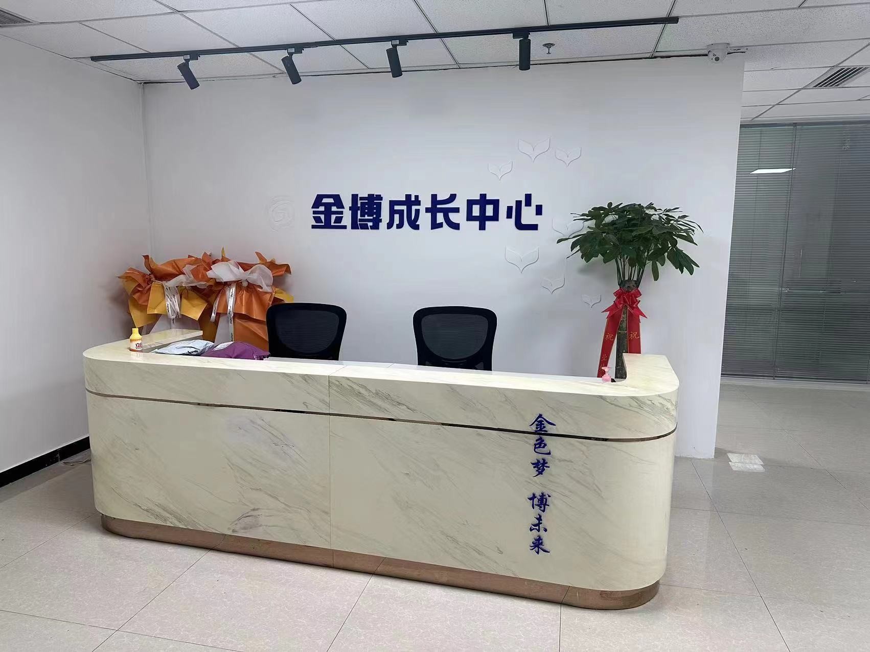 家长智慧辅导指南：助力孩子高效学习的实用策略